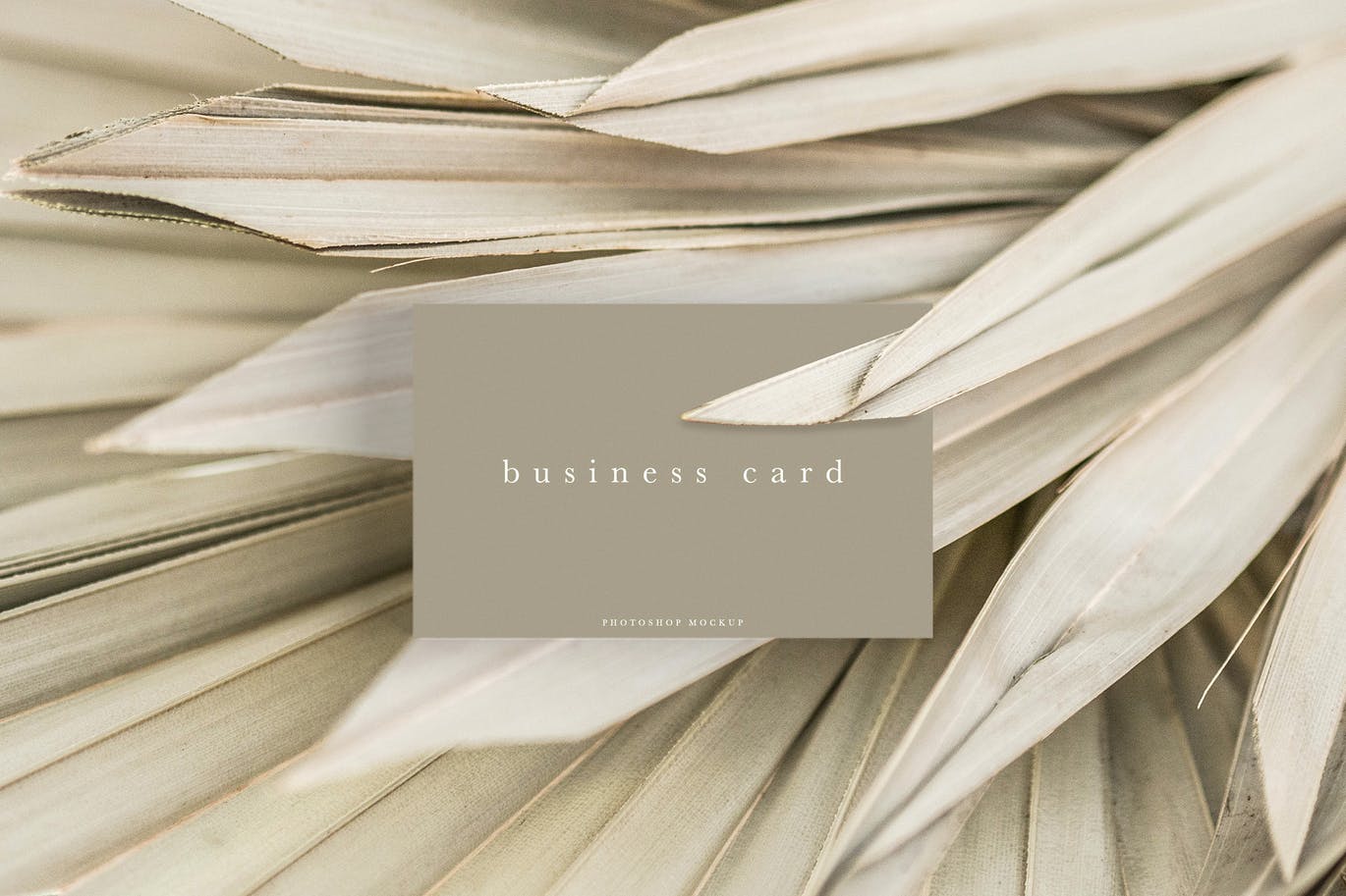 Business Card Mockup #26 SLR79KS