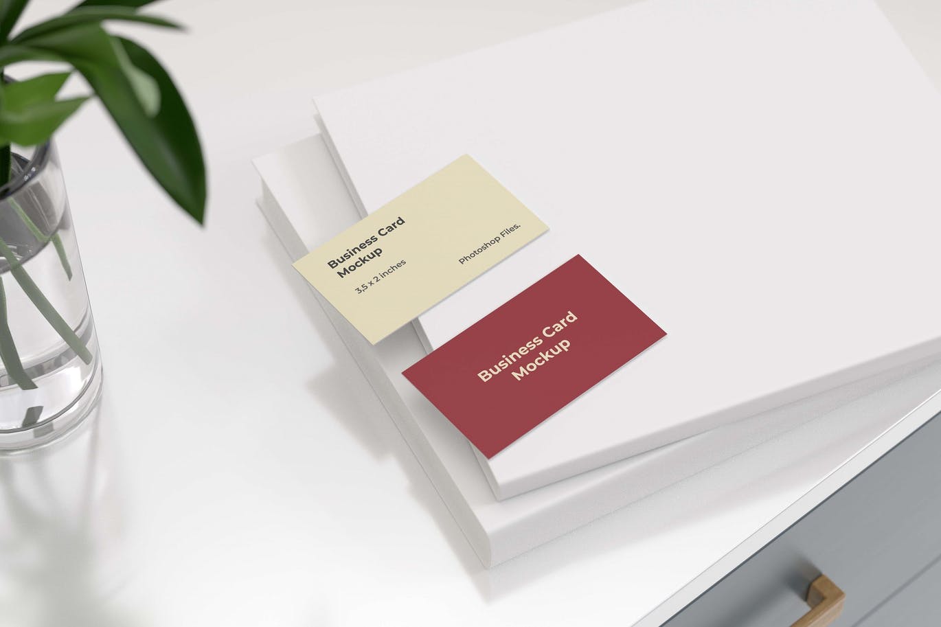 Business Card Mockup on The White Book RANJLUF