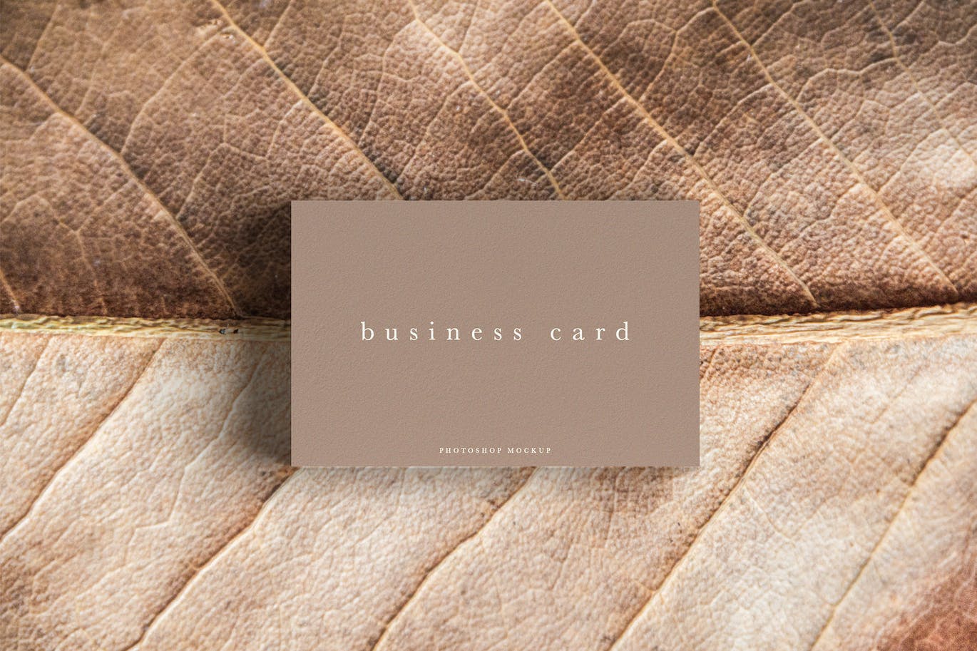 Business Card Mockup #54 RAFKX92