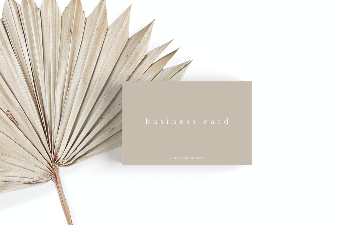 Business Card Mockup #24 WYLATYQ